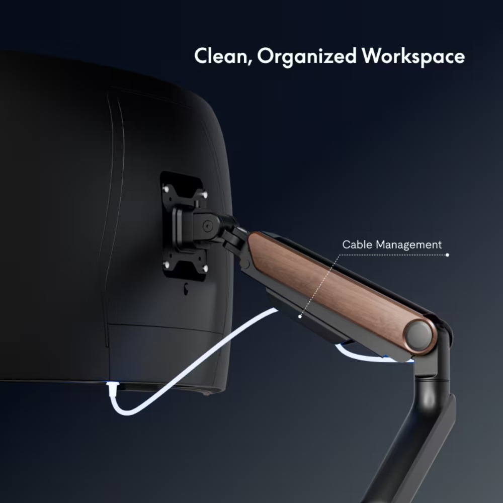 Argussync FlowLift Premium Gas Spring Monitor Arm